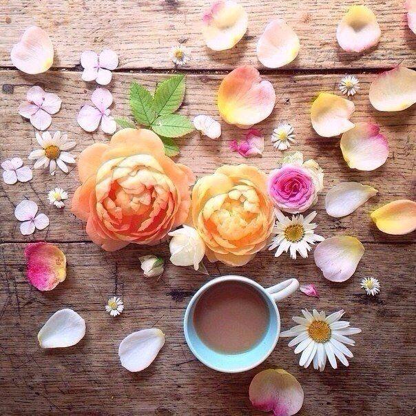 Symphony of Aroma Artisan Coffee Roast